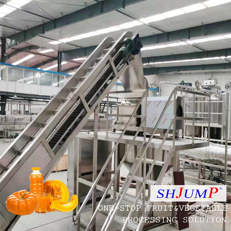 Línea de procesamiento de puré de calabaza