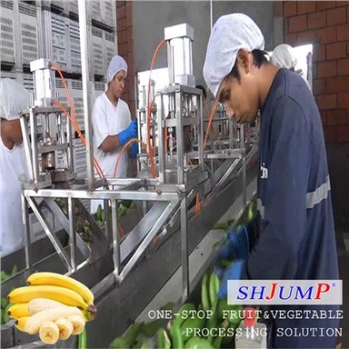 Línea de procesamiento de puré de plátano