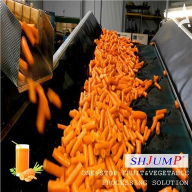 Línea de procesamiento de zanahorias