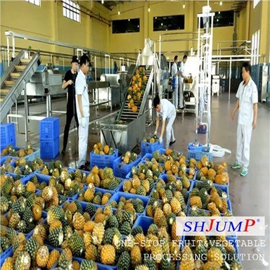 Línea de procesamiento de jugo de piña