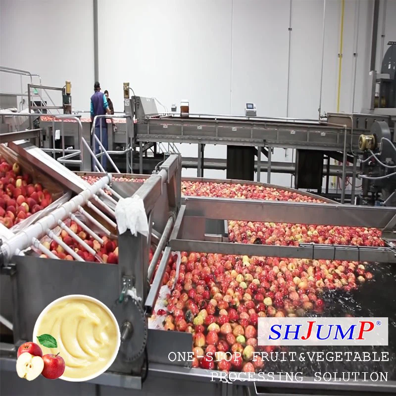 Línea de procesamiento de puré de manzana