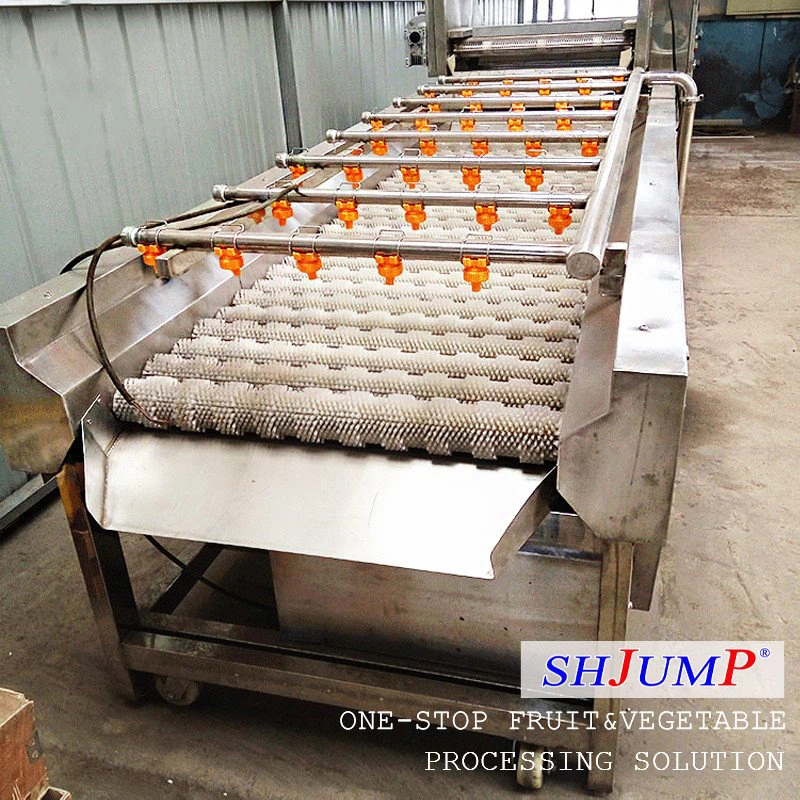 Lavadora de cepillos con rociador