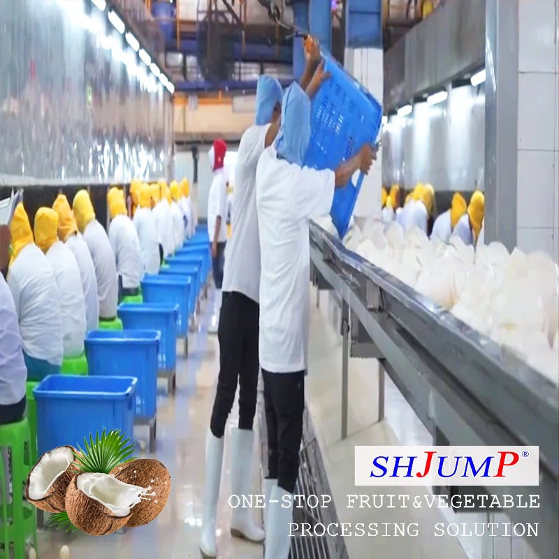 Línea de procesamiento de jugo de coco