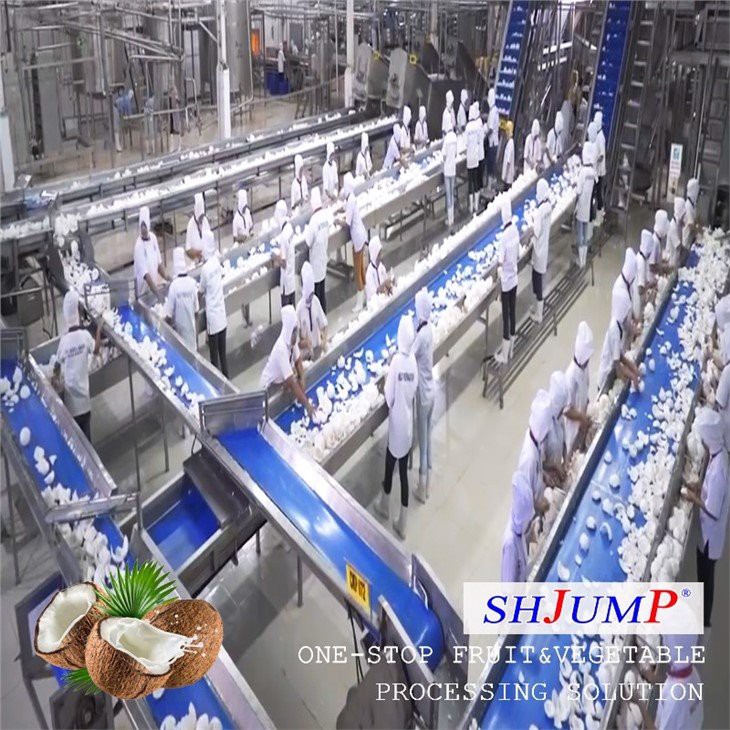 Coconut Juice Processing Line