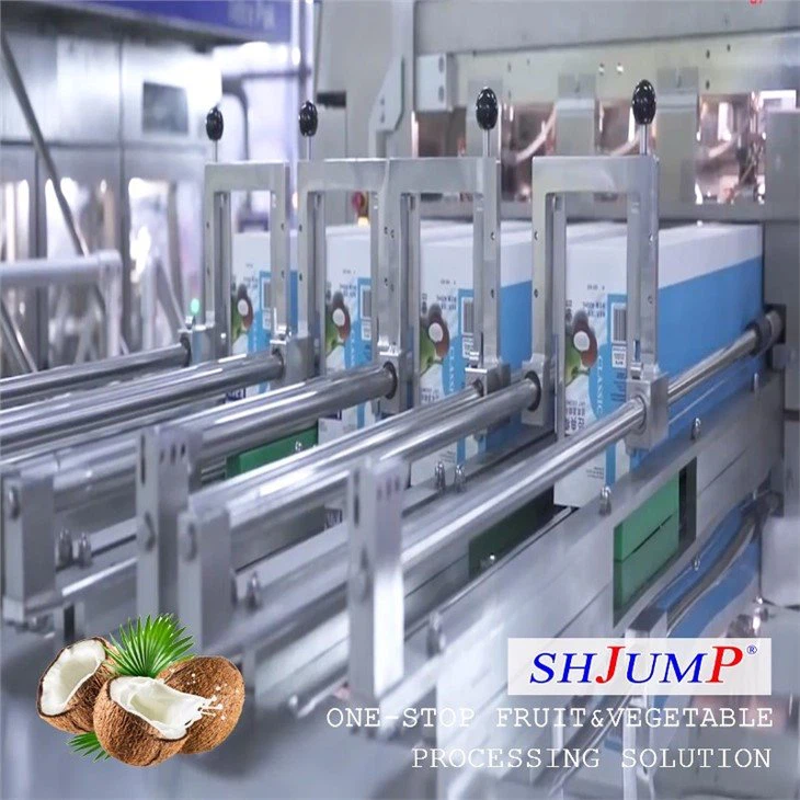 Coconut Juice Processing Line