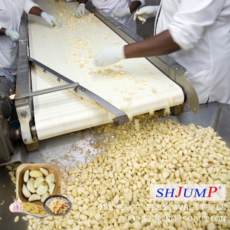 Línea de procesamiento de ajo