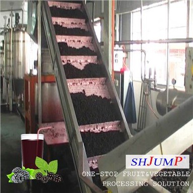 Línea de procesamiento de puré de mora