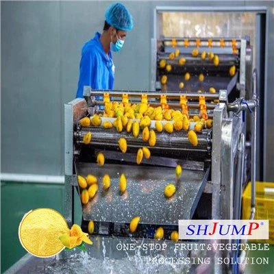 Línea de procesamiento de polvo de mango