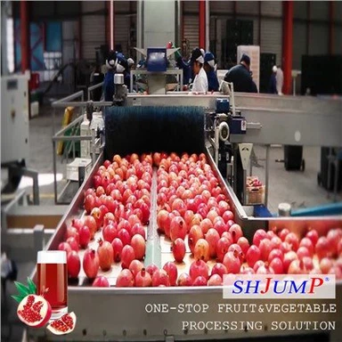 Línea de procesamiento de jugo de granada