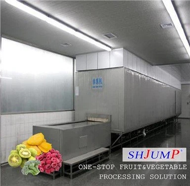 Línea de procesamiento rápido de frutas congeladas