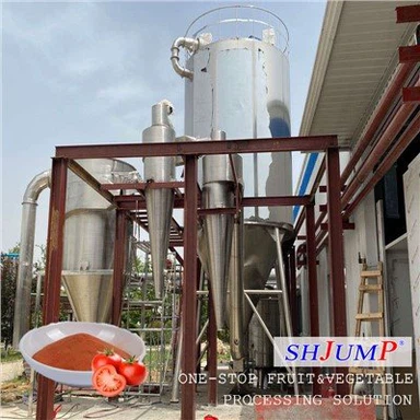 Línea de procesamiento de tomate en polvo