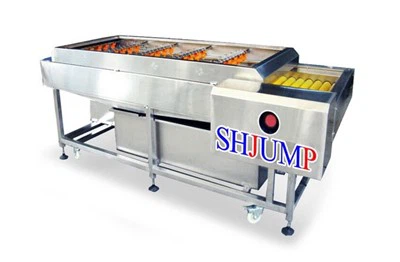 Máquina limpiadora de frutas y verduras