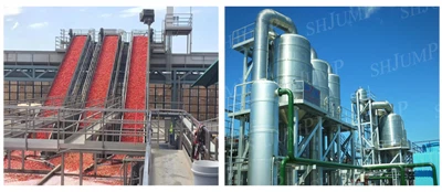 Línea de fabricación de concentración de pasta de tomate con solución llave en mano